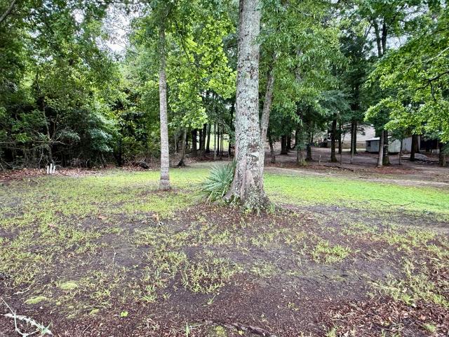 Land for sale in Fort Gaines, Georgia