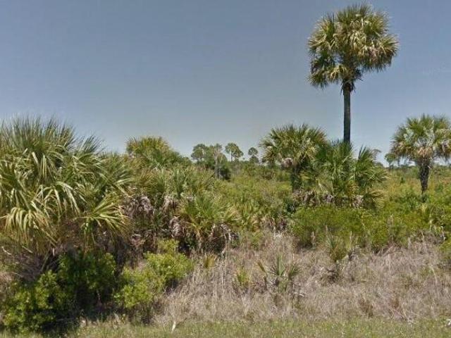 Land for sale in Florida