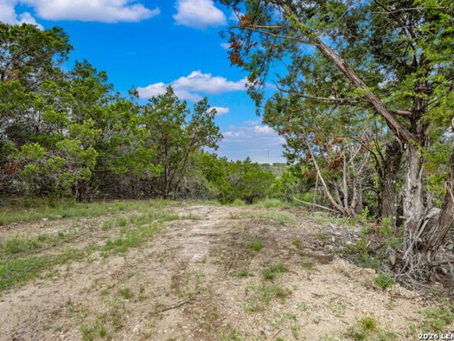 Land for sale in Bulverde, Texas