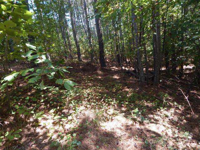 Land for sale in Connellys Springs, North Carolina