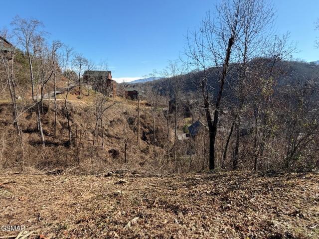Land for sale in Tennessee