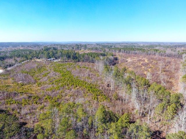 Land for sale in Haralson, Georgia