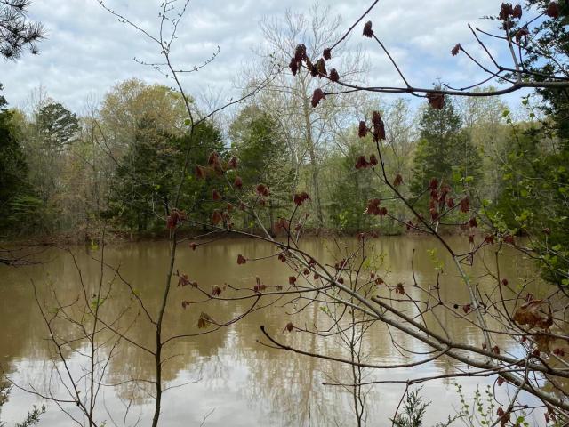 House for sale in Gainesville, Missouri