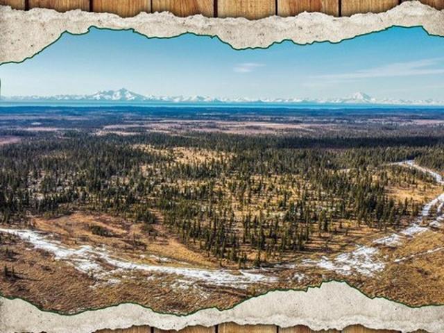 Land for sale in Anchor Point, Alaska