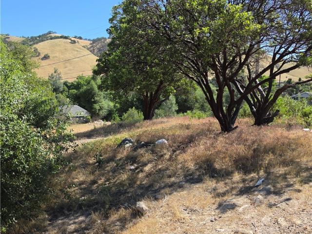 Land for sale in Lake, California