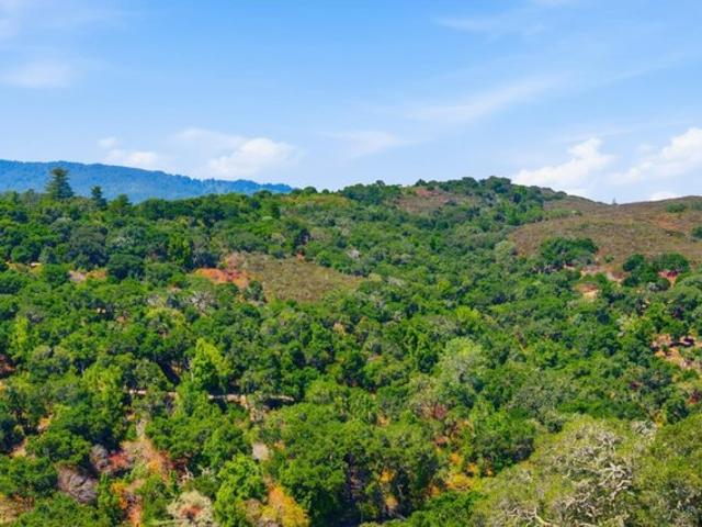 Condo for sale in San Carlos, San Mateo County