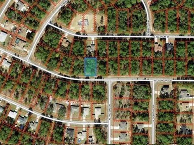 Land for sale in Florida
