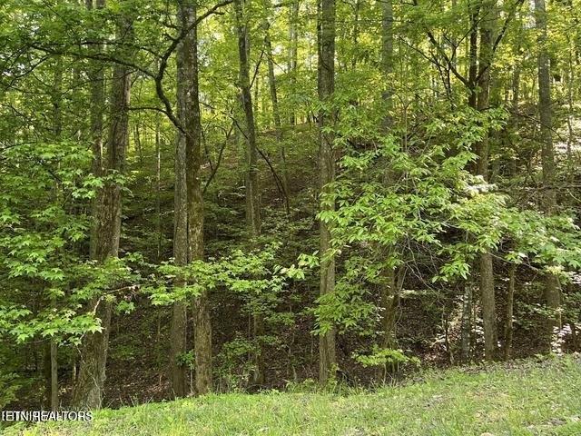 Land for sale in Spring City, East Tennessee