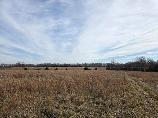 Farm for sale in Ark