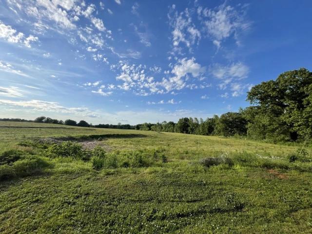 Land for sale in Florence, Lauderdale County