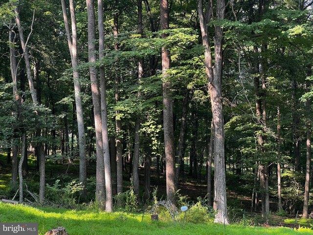 House for sale in Hardy, West Virginia