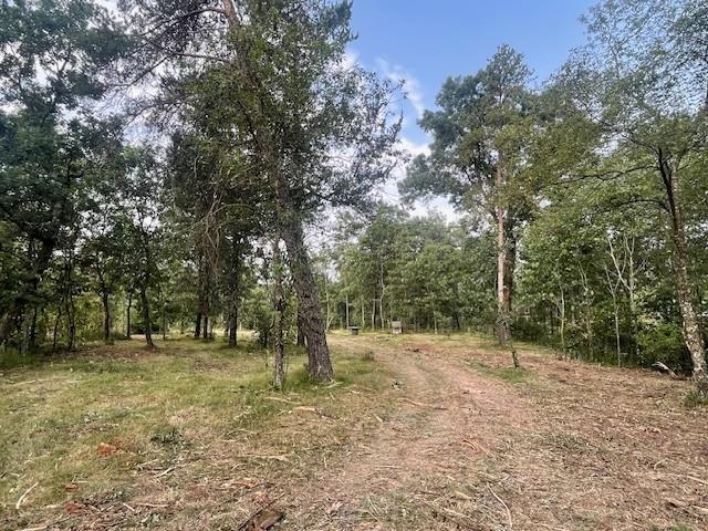 Land for sale in Nekoosa, Wisconsin