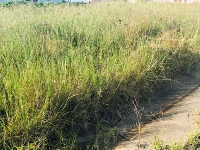 Land for sale in Bisho, Eastern Cape