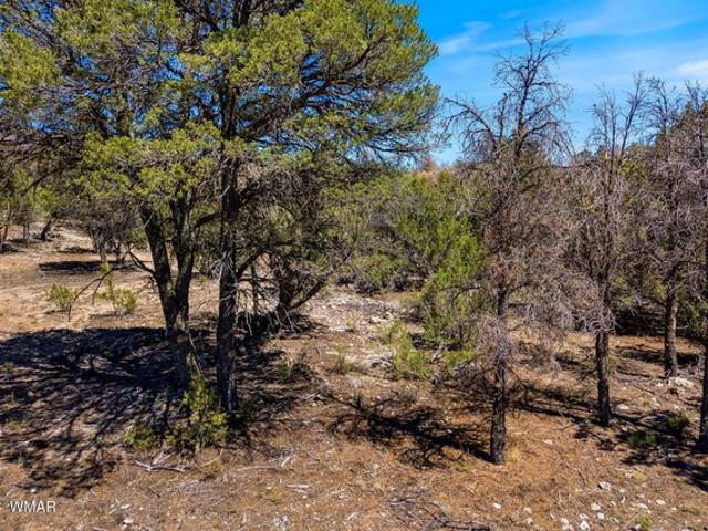 Land for sale in Navajo, Arizona