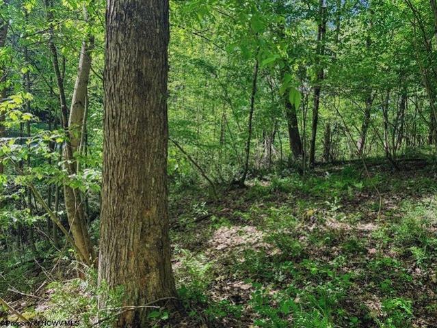 Farm for sale in Kingwood, West Virginia