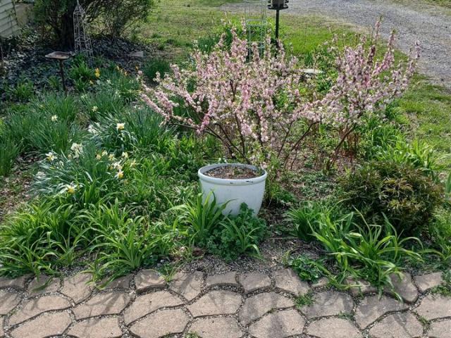 House for sale in Scottsville, Allen County