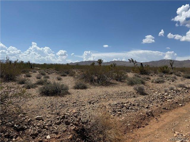 Land for sale in Meadview, Arizona