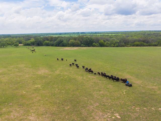 Property for sale in Moore, Texas
