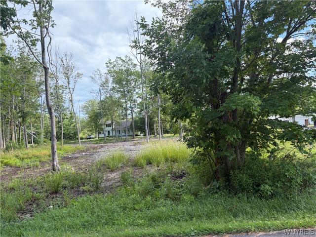 Land for sale in Irving, New York