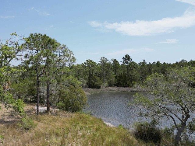 Land for sale in Panacea, Florida
