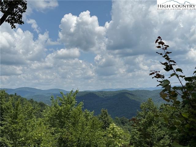 Land for sale in North Carolina