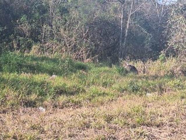 Land for sale in Ehlanzeni, Mpumalanga