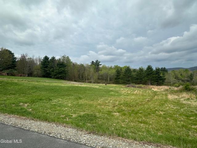 Land for sale in Stephentown, New York