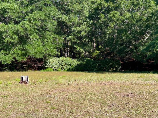 Land for sale in Ash, North Carolina