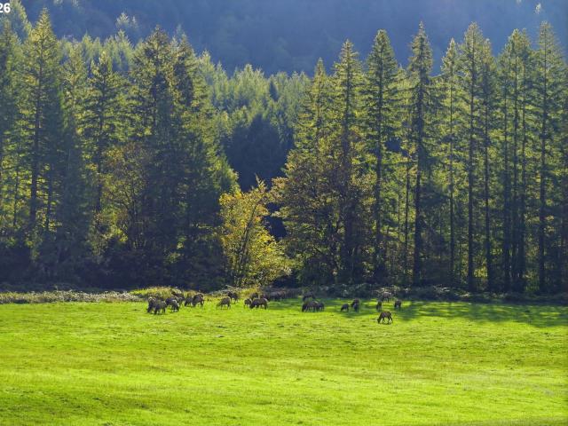 House for sale in Reedsport, Douglas County
