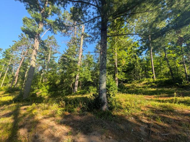Land for sale in Wisconsin
