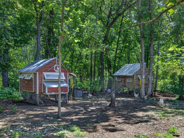 Land for sale in Minnesota