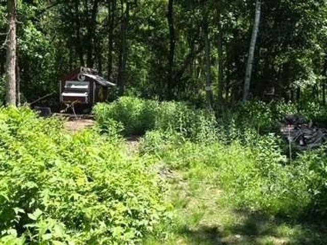 Land for sale in Pequot Lakes, Minnesota