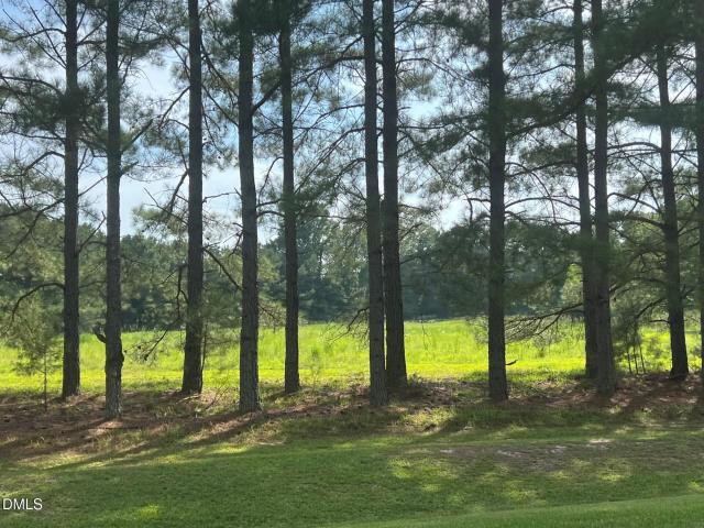 Land for sale in Angier, Harnett County