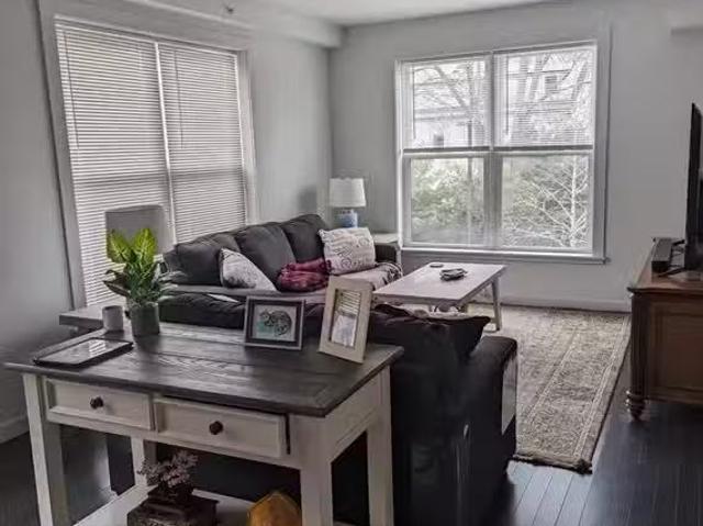 Apartment for rent in Jamaica Plain, Roxbury Apartment for rent in Jamaica Plain, Roxbury