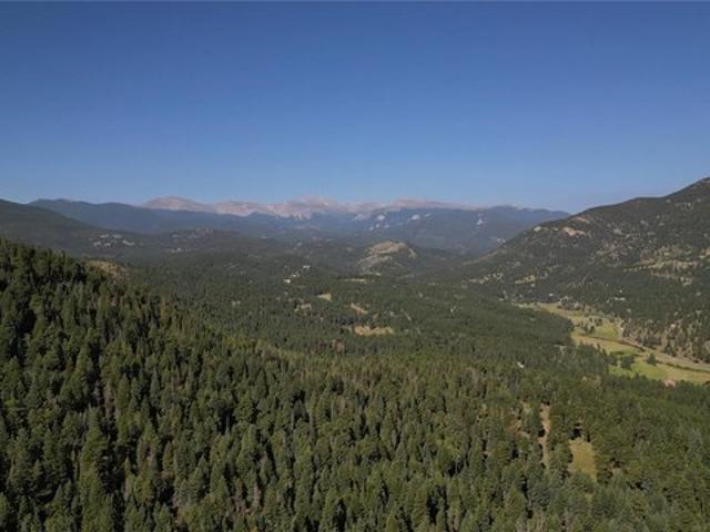 Land for sale in Evergreen, Jefferson County