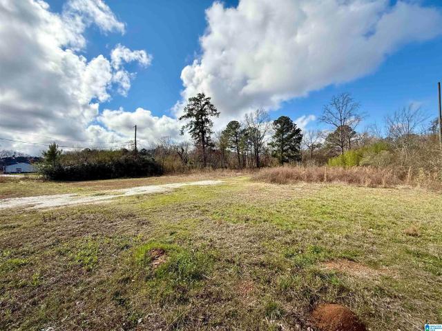 Land for sale in Childersburg, Alabama