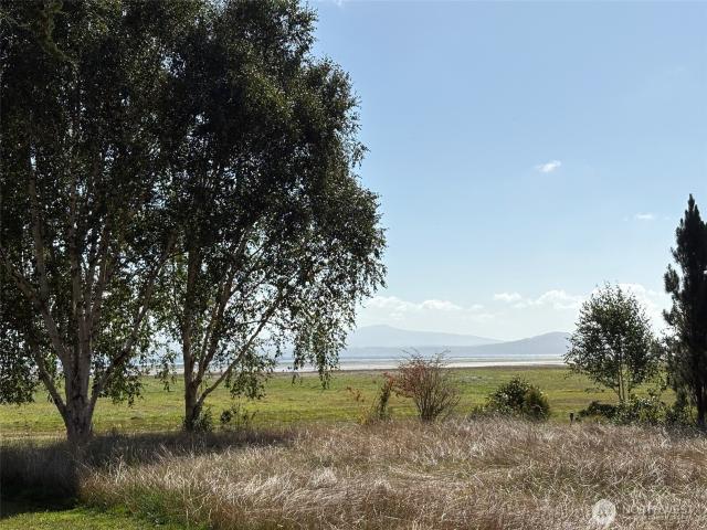 Land for sale in Oysterville, Washington