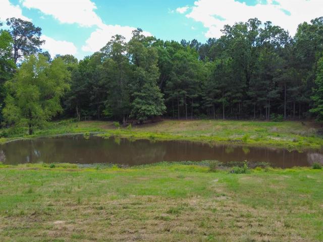 House for sale in Bivins, Texas