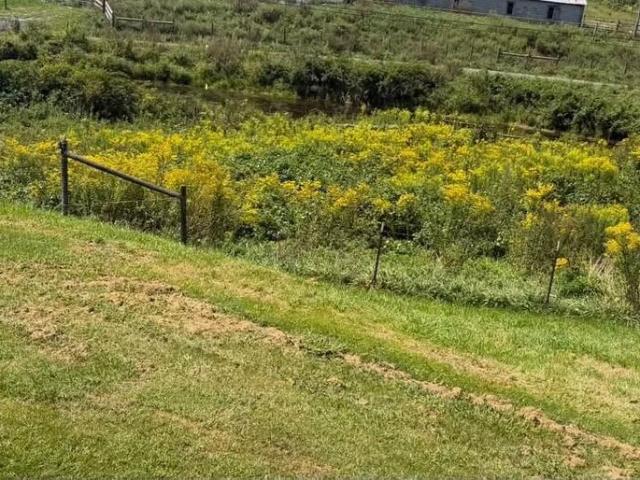 House for sale in Mount Gate, Tazewell