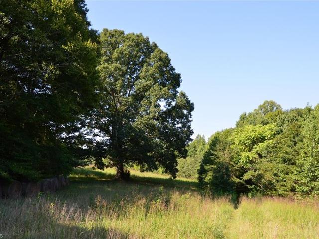 Land for sale in Wentworth, North Carolina