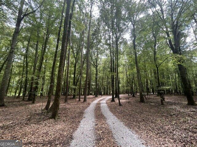 Land for sale in Union Point, Georgia