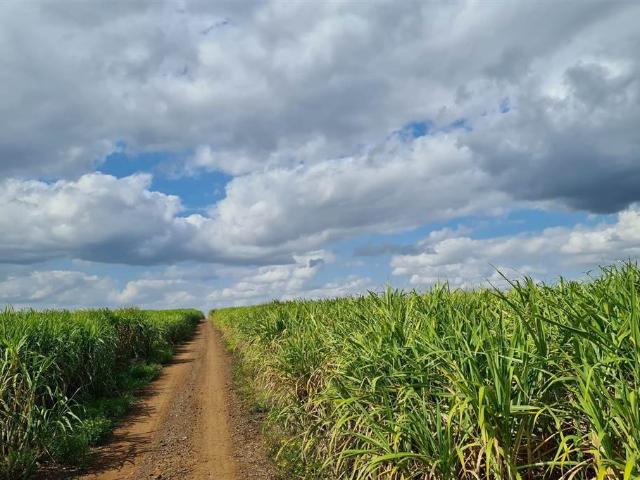 Commercial Land for sale in Mpumalanga