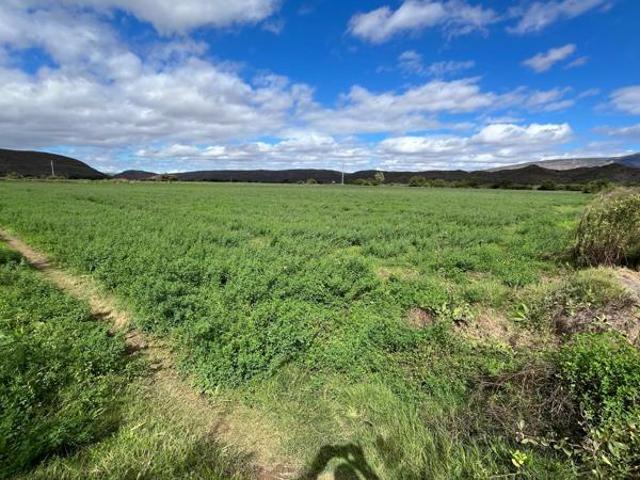 Farm for sale in Groot Brak Rivier, Western Cape