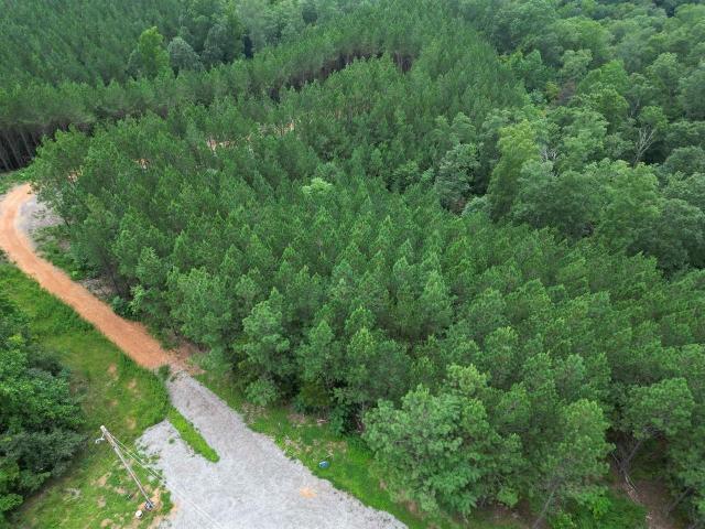 Land for sale in Tennessee
