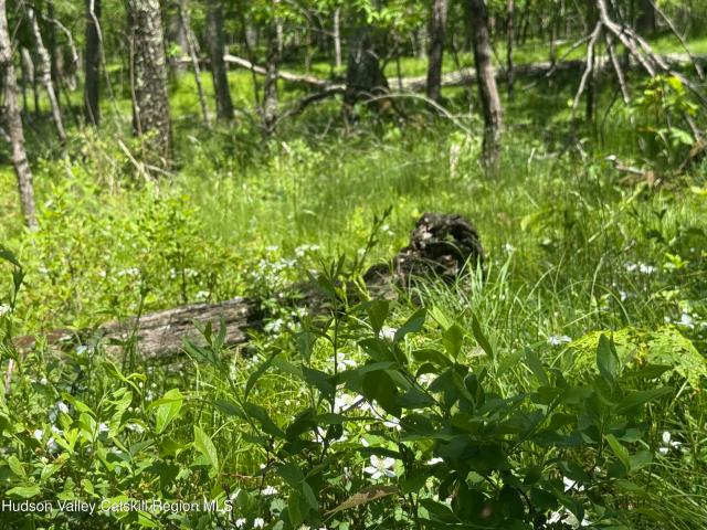 Land for sale in Catskill, New York