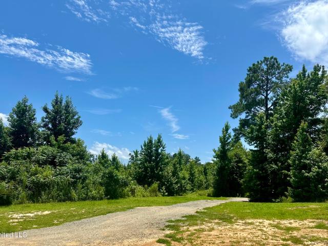 Land for sale in Kosciusko, Mississippi