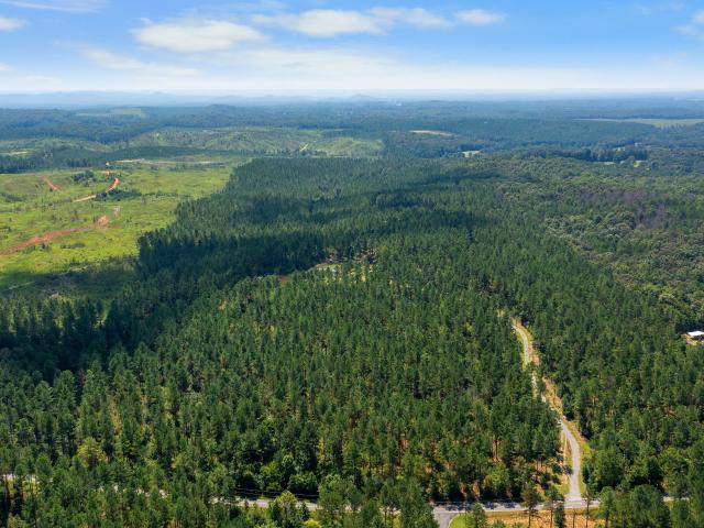 Land for sale in Lindale, Georgia