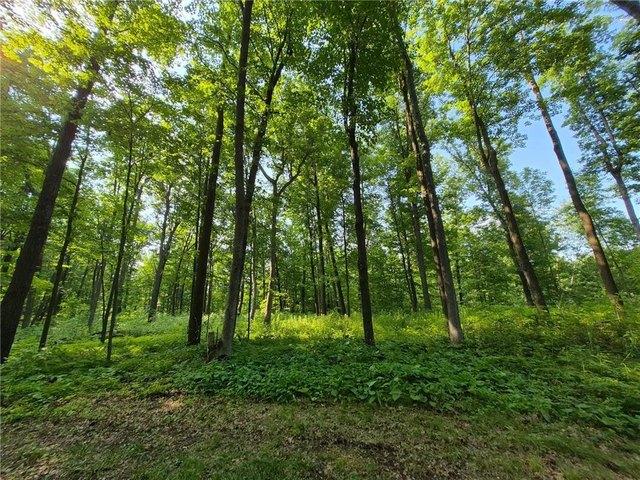 Land for sale in Frederic, Wisconsin