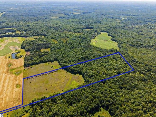 Land for sale in Kalkaska, Michigan
