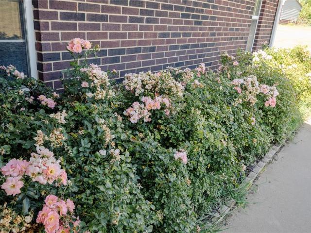 House for sale in Chandler, Oklahoma